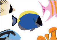 Counting / Estimating Flash Cards – Fish