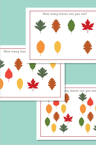 Counting / Estimating Flash Cards - Leaves