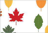 Counting / Estimating Flash Cards – Leaves