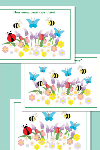 Estimating / Counting Minibeasts Flash Cards