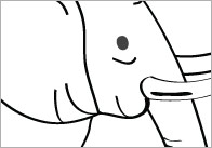Exotic Animal Colouring In Sheets – Mindfulness Resource