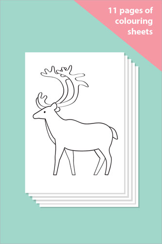 Wild Animal Colouring In Sheets - Mindfulness Resource
