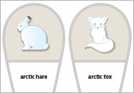 Editable Polar Animal Fans