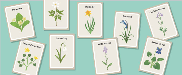 Spring Flower Cards