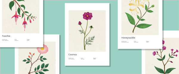 Summer Flower / Botanical Posters