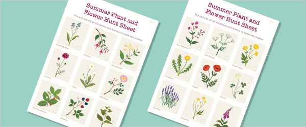 Summer Flower Hunt Activity Sheets